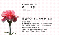 テンプレート名刺【plant-carnation photo-d014-zyz】