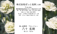 テンプレート名刺【plant-carnation photo-d011-lm】