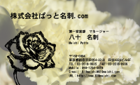 テンプレート名刺【plant-carnation photo-d007-zyz】