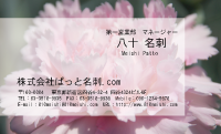 テンプレート名刺【plant-carnation photo-d013-lm】