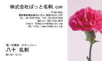 テンプレート名刺【plant-carnation photo-d002-lm】