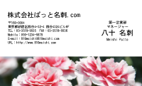 テンプレート名刺【plant-carnation photo-d004-lm】