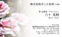 テンプレート名刺【plant-carnation photo-d009-lm】
