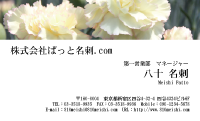 テンプレート名刺【plant-carnation photo-d003-lm】