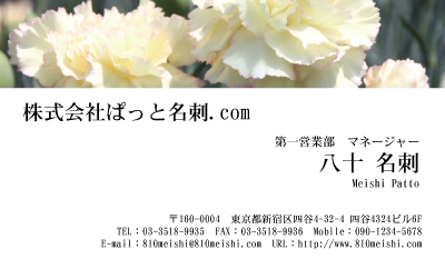 テンプレート名刺【plant-carnation photo-d003-lm】
