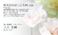 テンプレート名刺【plant-carnation photo-d008-lm】