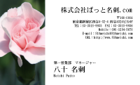 テンプレート名刺【plant-carnation photo-d001-lm】