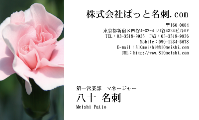テンプレート名刺【plant-carnation photo-d001-lm】