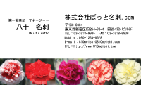 テンプレート名刺【plant-carnation photo-d015-zyz】
