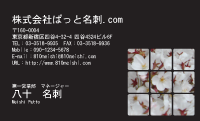 テンプレート名刺【plant- sakura photo-d020-zyz】
