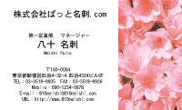 テンプレート名刺【plant-azaleas photo-d005-lm】