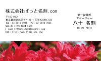 テンプレート名刺【plant-azaleas photo-d007-lm】