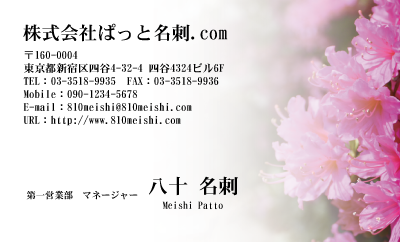 テンプレート名刺【plant-azaleas photo-d011-lm】