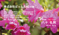 テンプレート名刺【plant-azaleas photo-d014-lm】
