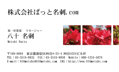 テンプレート名刺【plant-azaleas photo-d016-lm】