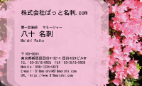 テンプレート名刺【plant-azaleas photo-d018-lm】