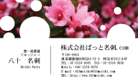 テンプレート名刺【plant-azaleas photo-d020-lmzyz】