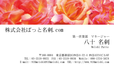 テンプレート名刺【plant-rose photo-d003-lm】
