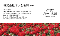 テンプレート名刺【plant-rose photo-d004-lm】