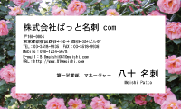 テンプレート名刺【plant-rose photo-d005-lm】