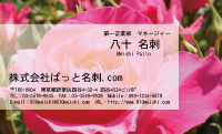 テンプレート名刺【plant-rose photo-d011-lm】