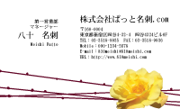 テンプレート名刺【plant-rose photo-d013-lmzyz】