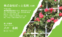 テンプレート名刺【plant-rose photo-d014-lmzyz】