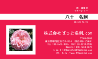 テンプレート名刺【plant-rose photo-d017-zyz】