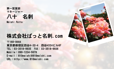 テンプレート名刺【plant-rose photo-d020-zyz】