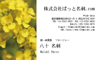 テンプレート名刺【plant-cole flower photo-d006-lm】