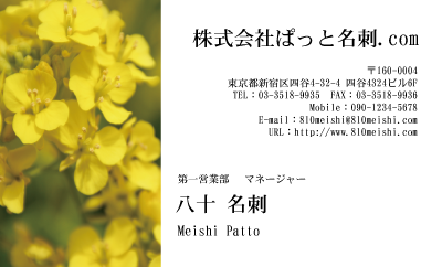 テンプレート名刺【plant-cole flower photo-d006-lm】