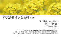 テンプレート名刺【plant-cole flower photo-d008-lm】