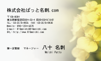 テンプレート名刺【plant-cole flower photo-d013-lm】