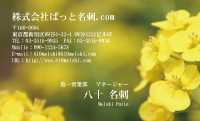 テンプレート名刺【plant-cole flower photo-d016-lm】