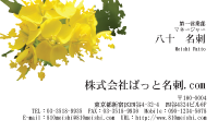 テンプレート名刺【plant-cole flower photo-d019-zyz】