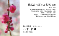テンプレート名刺【plant-plum flower photo-d001-lm】