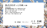 テンプレート名刺【plant-plum flower photo-d005-lm】