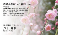 テンプレート名刺【plant-plum flower photo-d006-lm】