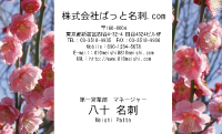 テンプレート名刺【plant-plum flower photo-d009-lm】