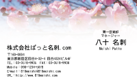 テンプレート名刺【plant-plum flower photo-d010-lm】