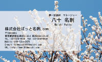 テンプレート名刺【plant-plum flower photo-d011-lm】