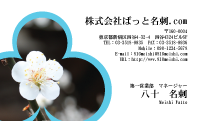 テンプレート名刺【plant-plum flower photo-d014-lmzyz】