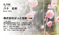 テンプレート名刺【plant-plum flower photo-d015-lmzyz】