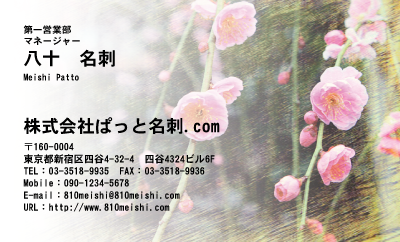 テンプレート名刺【plant-plum flower photo-d015-lmzyz】