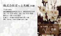 テンプレート名刺【plant-plum flower photo-d016-lmzyz】