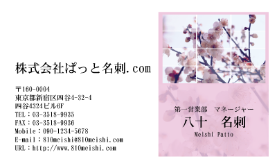 テンプレート名刺【plant-plum flower photo-d017-lmzyz】