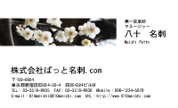 テンプレート名刺【plant-plum flower photo-d018-lmzyz】