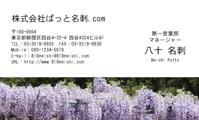 テンプレート名刺【plant-wistaria photo-d009-lm】