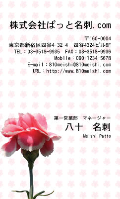 テンプレート名刺【plant-carnation photo-d001-zyz】
