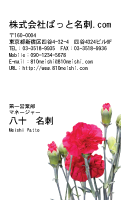 テンプレート名刺【plant-carnation photo-d002-zyz】